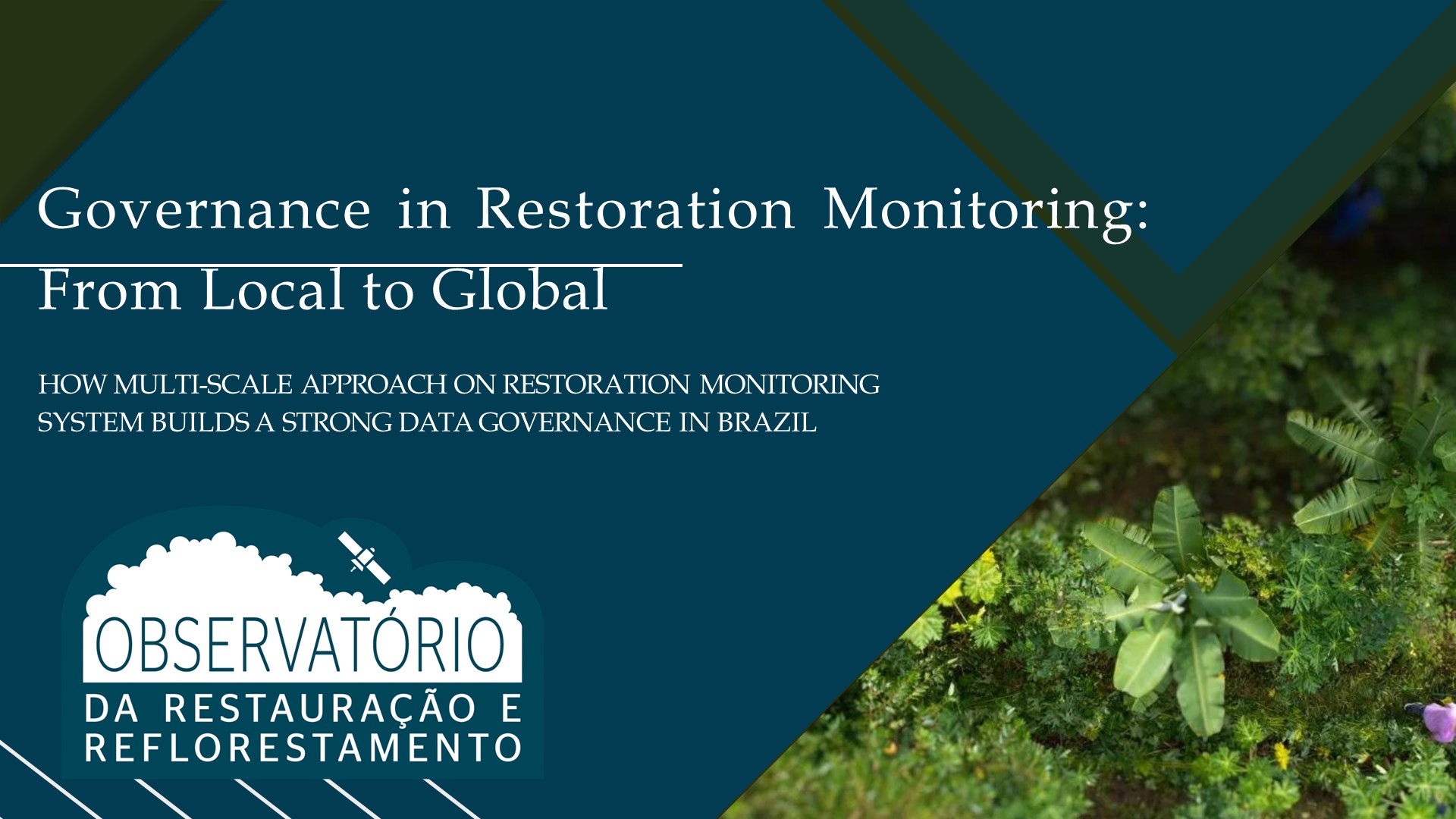 Symposium #35 Governance in Restoration Monitoring: From Local to Global. Organiser: Tainah Godoy and Cézar Borges. 